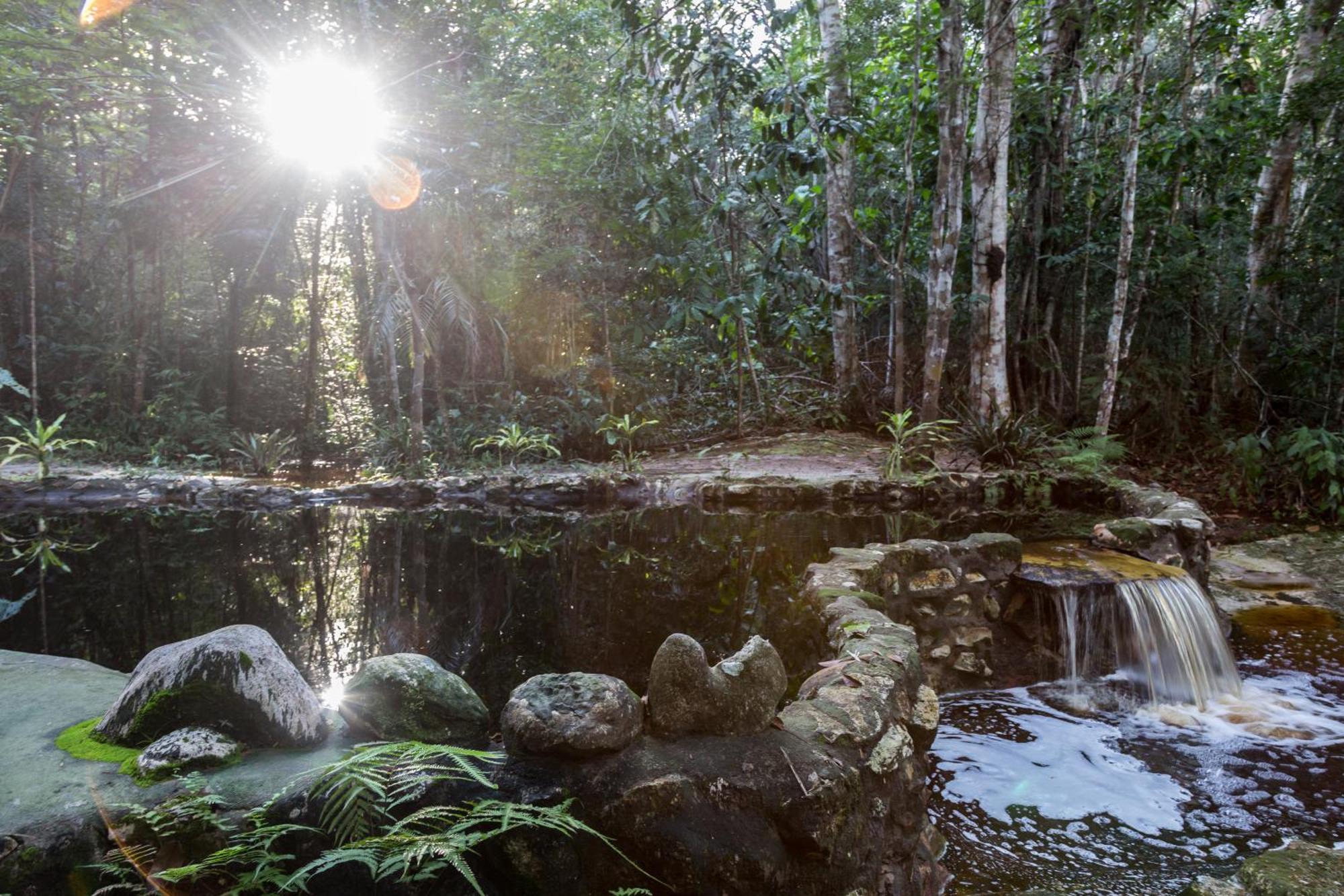 Amazon Ecopark Jungle Lodge Манаус Екстер'єр фото
