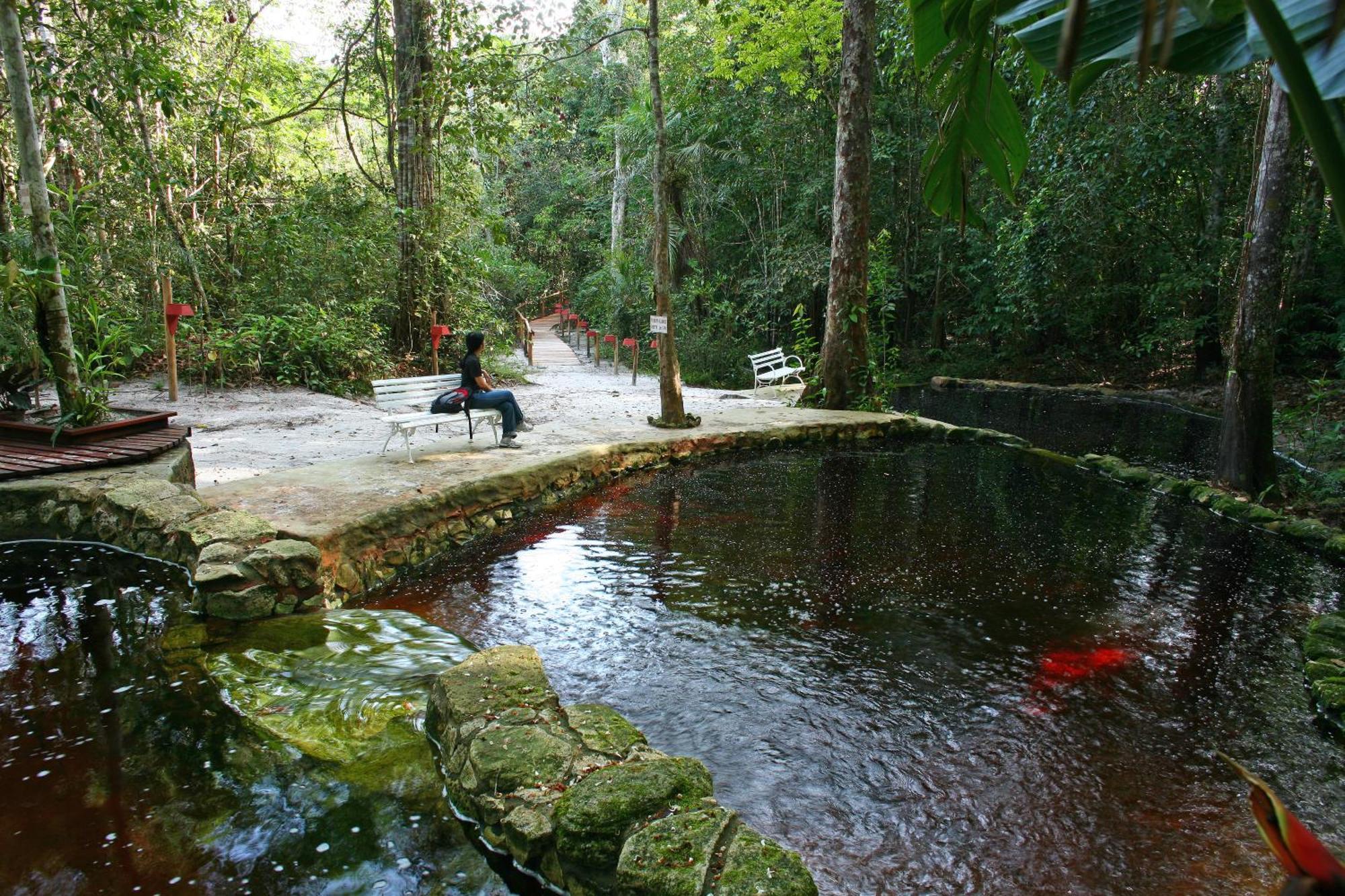 Amazon Ecopark Jungle Lodge Манаус Екстер'єр фото