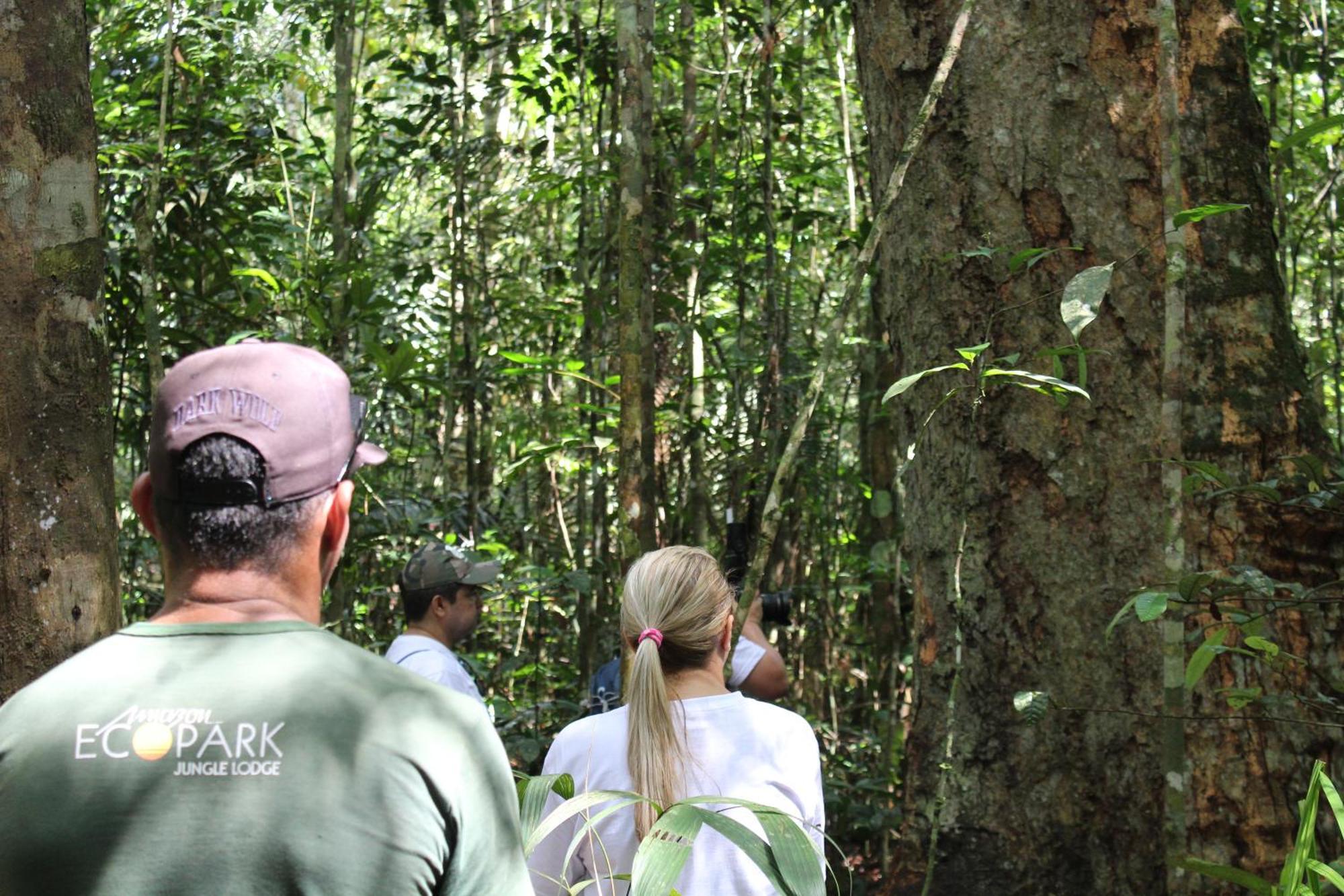 Amazon Ecopark Jungle Lodge Манаус Екстер'єр фото