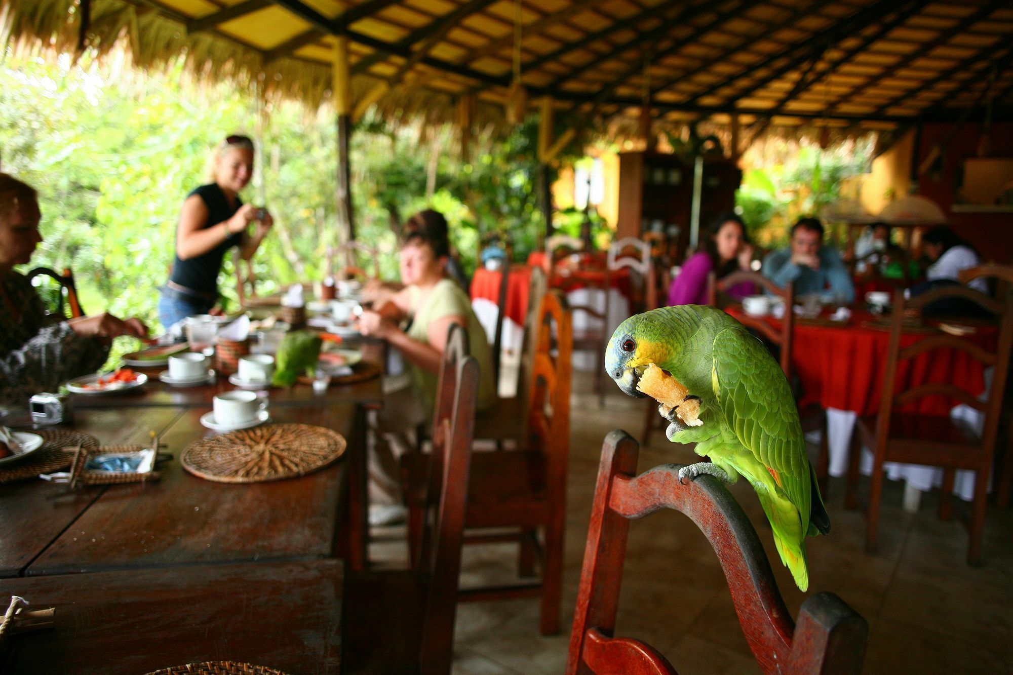 Amazon Ecopark Jungle Lodge Манаус Екстер'єр фото